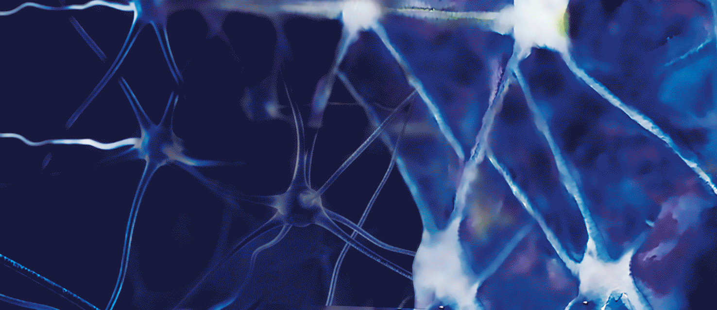 ciencia diseño arte